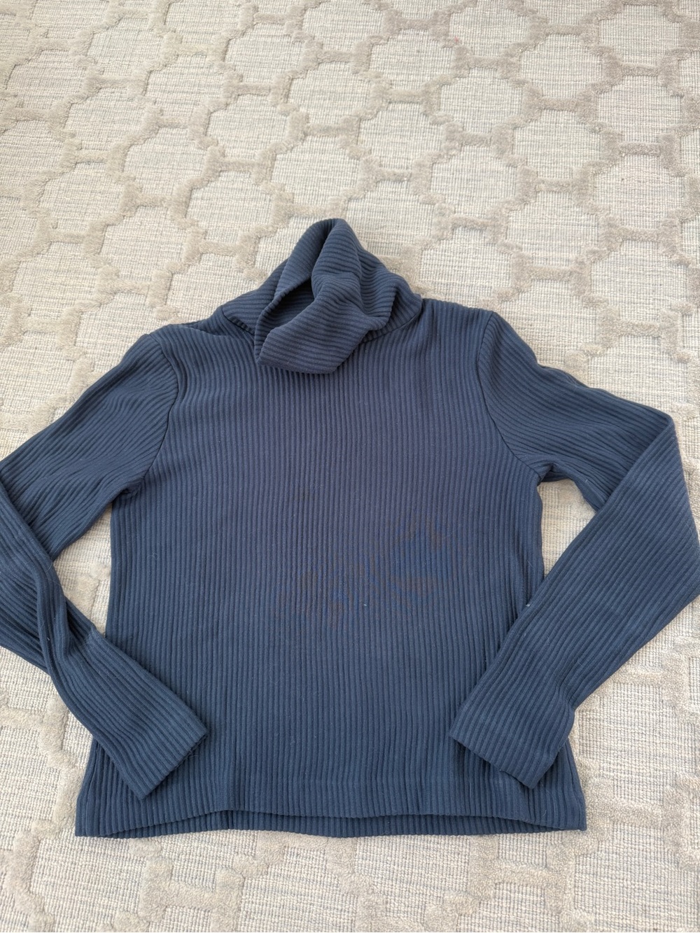 Club Monaco Ribbed Turtleneck Sweater in Navy Blue